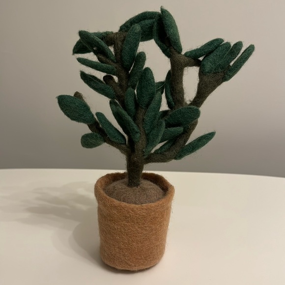 West elm felt succulent - Picture 1 of 5